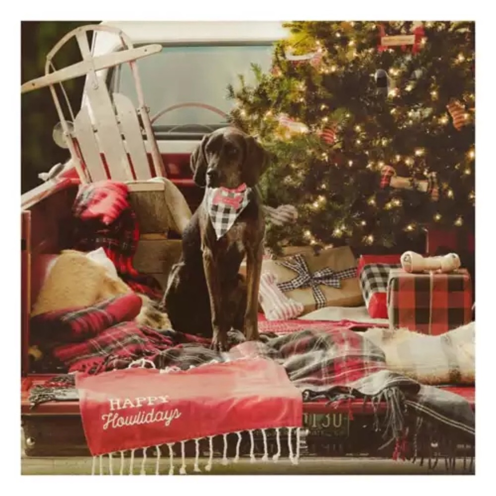 Mud Pie Happy Howlidays Christmas Blanket and Toy Set